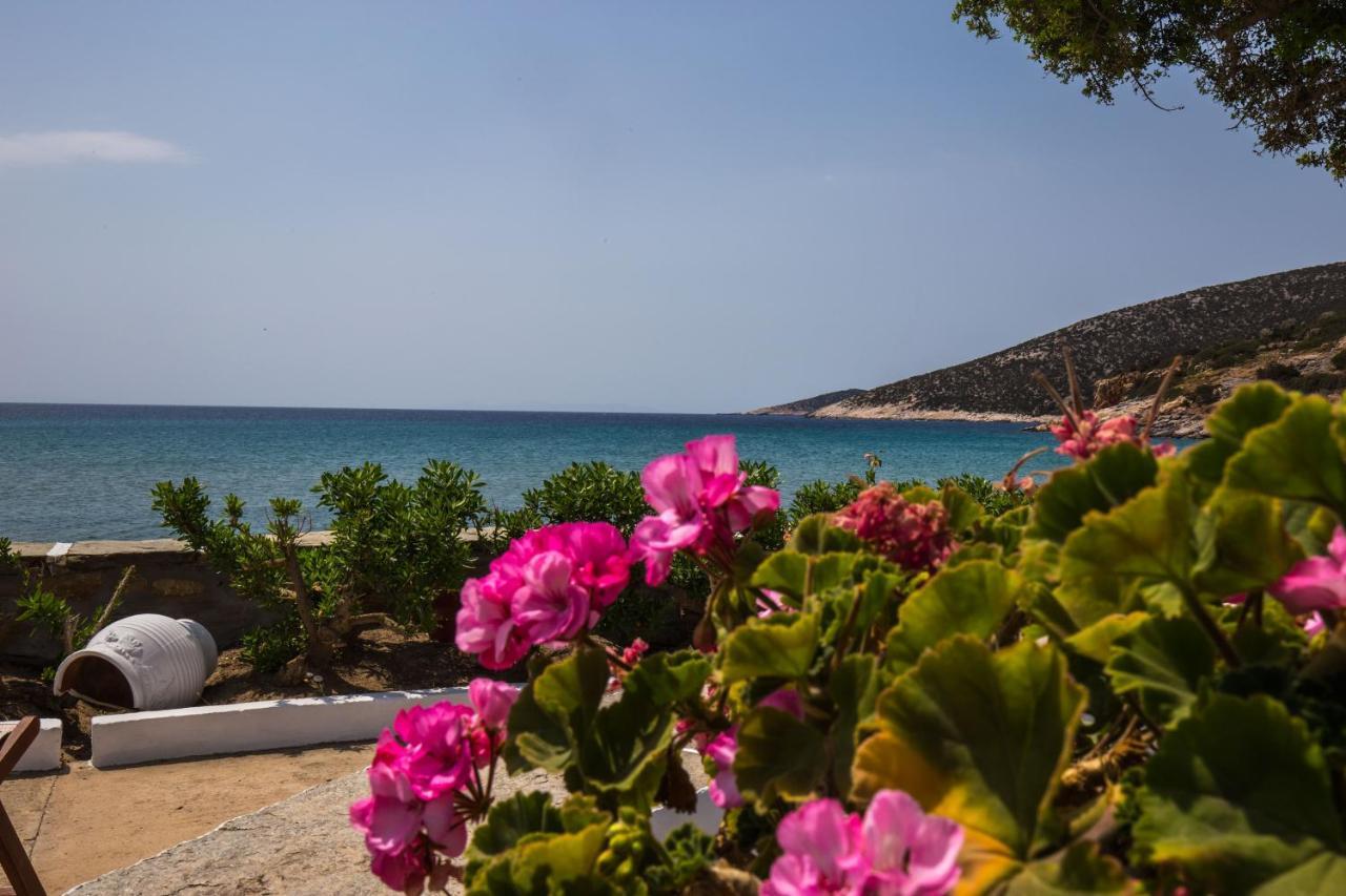 Pension Ageliki Sifnos Platis Gialos  Εξωτερικό φωτογραφία